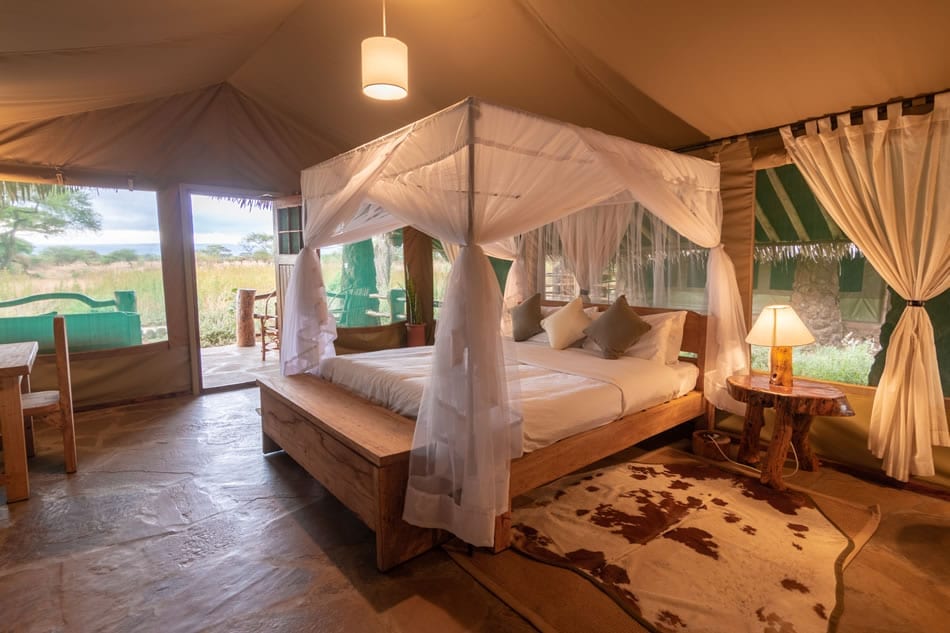 kibo safari camp amboseli kenya